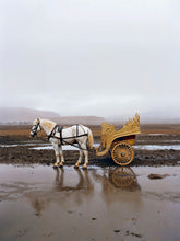 Load image into Gallery viewer, ALLES AUF HORST // MAX KUWERTZ