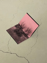 Load image into Gallery viewer, BARBENTANE SUMMER / VINCENT DE JONGE
