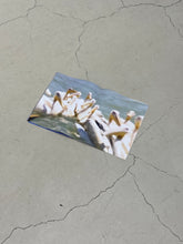 Load image into Gallery viewer, WHAT HAS BEEN FOUND, CANNOT BE UNFOUND / VINCENT DE JONGE