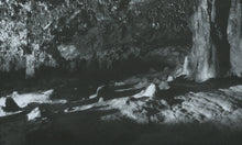 Load image into Gallery viewer, UNTITLED / JULIA SCHOLL