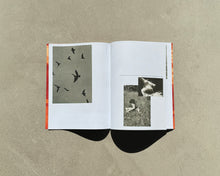 Load image into Gallery viewer, WAS SICH NICHT ERINNERT / EXHIBITION CATALOGUE