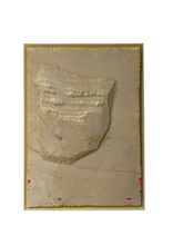 Load image into Gallery viewer, THOMAS LEMPERTZ / PROTECTIVE SHIELD