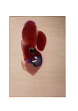 Load image into Gallery viewer, THOMAS LEMPERTZ / UNTITLED