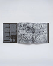 Load image into Gallery viewer, ZUM ERDEN AN DIE LUFT / MORITZ BERG