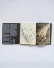 Load image into Gallery viewer, ZUM ERDEN AN DIE LUFT / MORITZ BERG