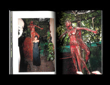 Load image into Gallery viewer, DEMONS / DAVID SPAETH & ISABELLE MAYER