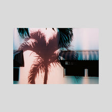 Load image into Gallery viewer, PALM ROT / EDDIE O'KEEFE