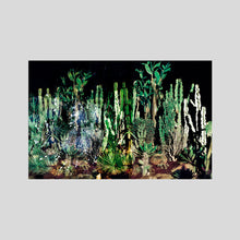 Load image into Gallery viewer, CACTUS TRIP / MAYA ROCHAT