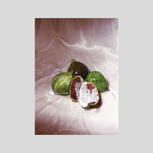 Load image into Gallery viewer, Figs / REBECCA STORM