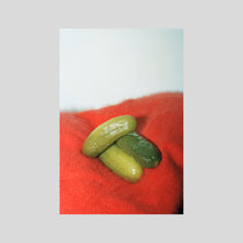 Load image into Gallery viewer, PICKLES / REBECCA STORM