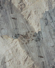 Load image into Gallery viewer, THE DAM / FABRIZIO ALBERTINI