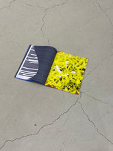 Load image into Gallery viewer, WHAT HAS BEEN FOUND, CANNOT BE UNFOUND / VINCENT DE JONGE
