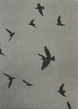 Load image into Gallery viewer, SO THAT TODAY I MIGHT FEEL WHAT’S MINE / JULIA SCHOLL

