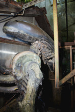 Load image into Gallery viewer, DEMONS GIGER'S GARTEN
