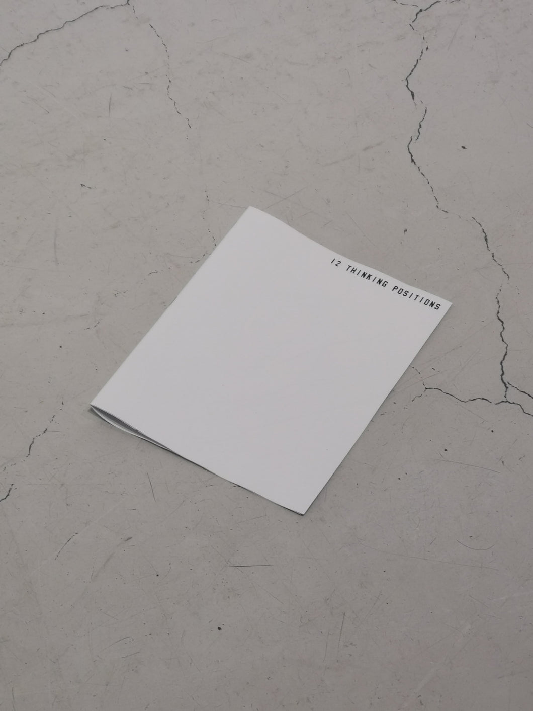 12 THINKING POSITIONS / VINCENT DE JONGE