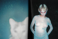 Load image into Gallery viewer, DEMONS / DAVID SPAETH &amp; ISABELLE MAYER
