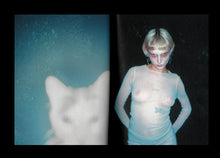 Load image into Gallery viewer, DEMONS / DAVID SPAETH &amp; ISABELLE MAYER
