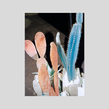 Load image into Gallery viewer, CACTUS / REBECCA STORM
